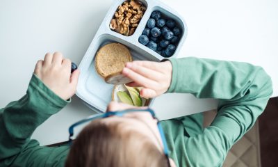School age kid eating their lunch of blueberries, walnuts and a sandwich.