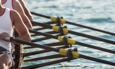 Close-up of rowers and oars on the water