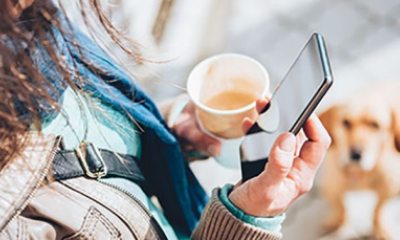 A person with a coffee cup in their left hand looks at a mobile phone in their right hand, as a dog watches in the background