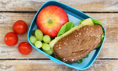 Balanced lunch with sandwich, apple, grapes and tomatoes