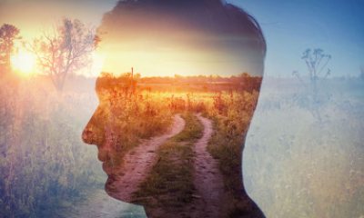 Stylized image showing the translucent silhouette of a head against a sunsetting landscape