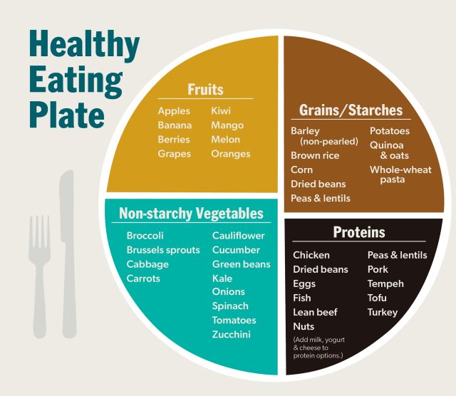 Infographic showing the MyPlate system for planning balanced meals